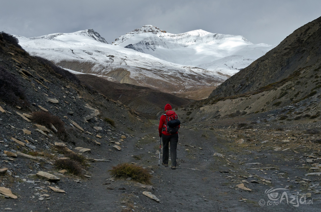 Dzień 16: W drodze na przełęcz Chhoila La North (5080m)